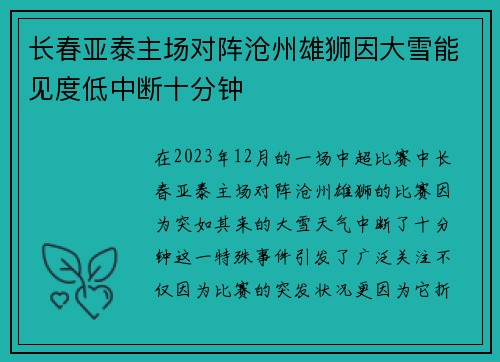 长春亚泰主场对阵沧州雄狮因大雪能见度低中断十分钟